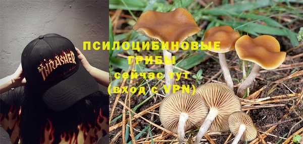 mdpv Абдулино