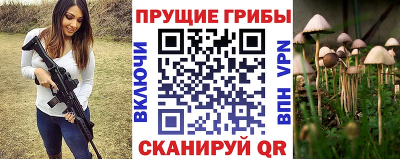 MEGA ТОР Кострома Галлюциногенные грибы мухоморы